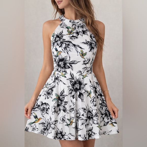 Dress Barn Dresses & Skirts - Black White Floral Hummingbird Dress High Neck Fit Flare Sleeveless 16